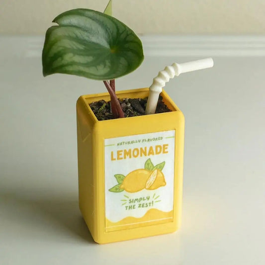 Juice Box Flower Pot