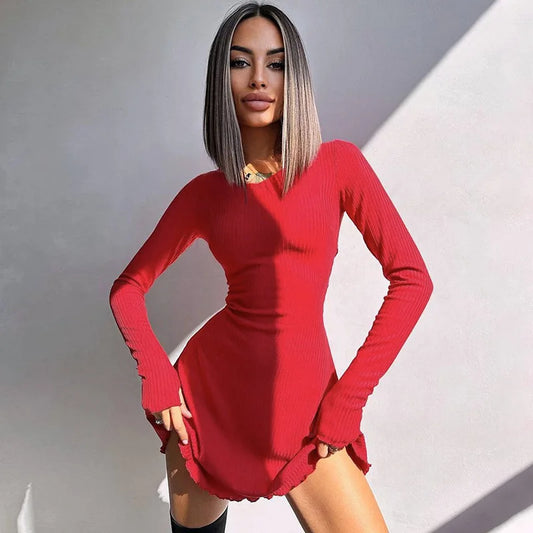 Long Sleeve Knitted Mini Dress